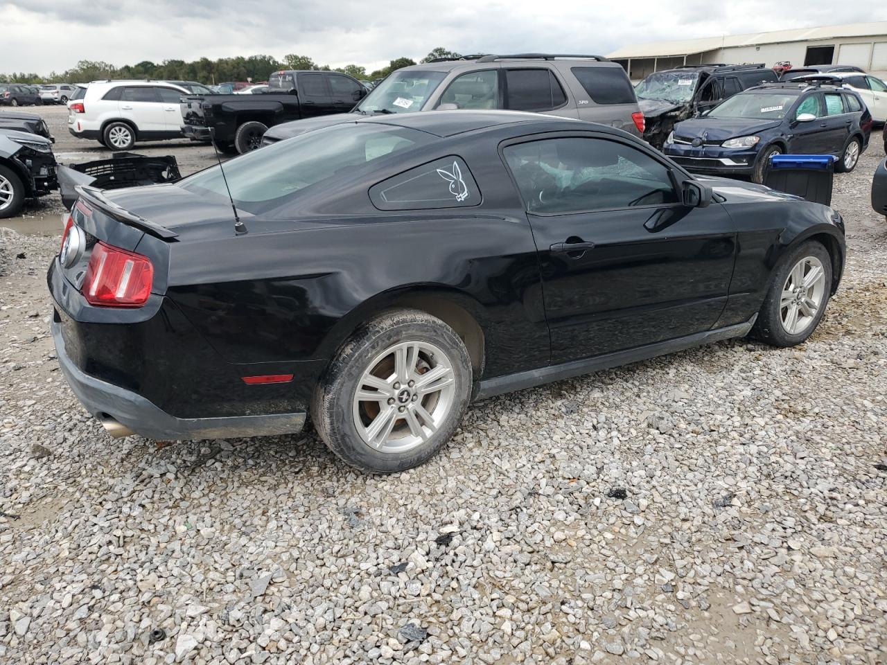 Lot #2921573657 2010 FORD MUSTANG