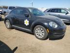 VOLKSWAGEN BEETLE photo