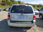 FORD ESCAPE HEV photo