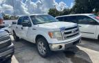 FORD F150 SUPER photo