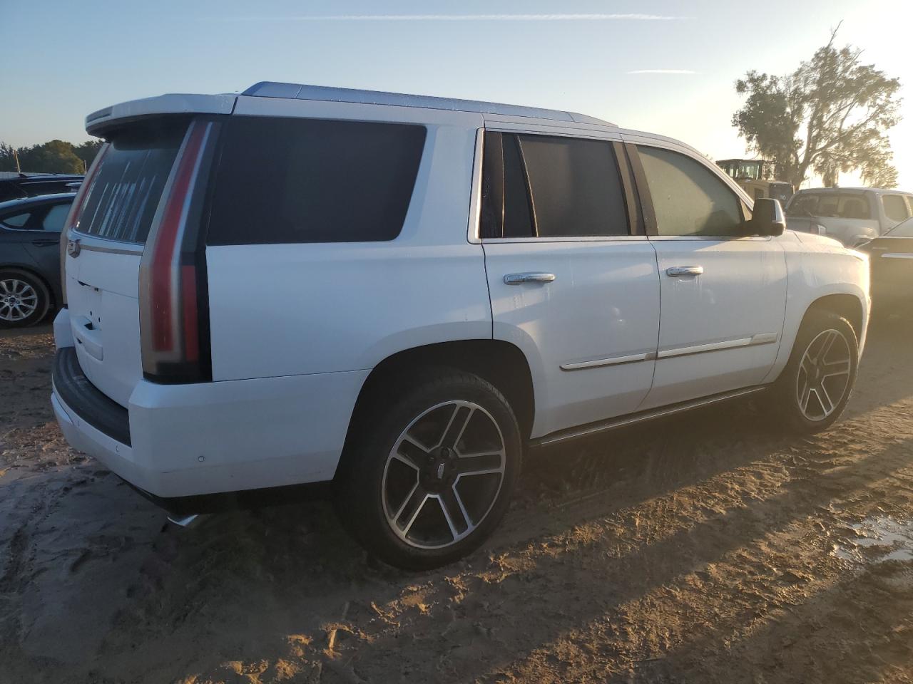 Lot #2986499266 2020 CADILLAC ESCALADE P