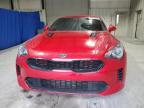 KIA STINGER photo