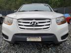 Lot #3027011836 2010 HYUNDAI SANTA FE