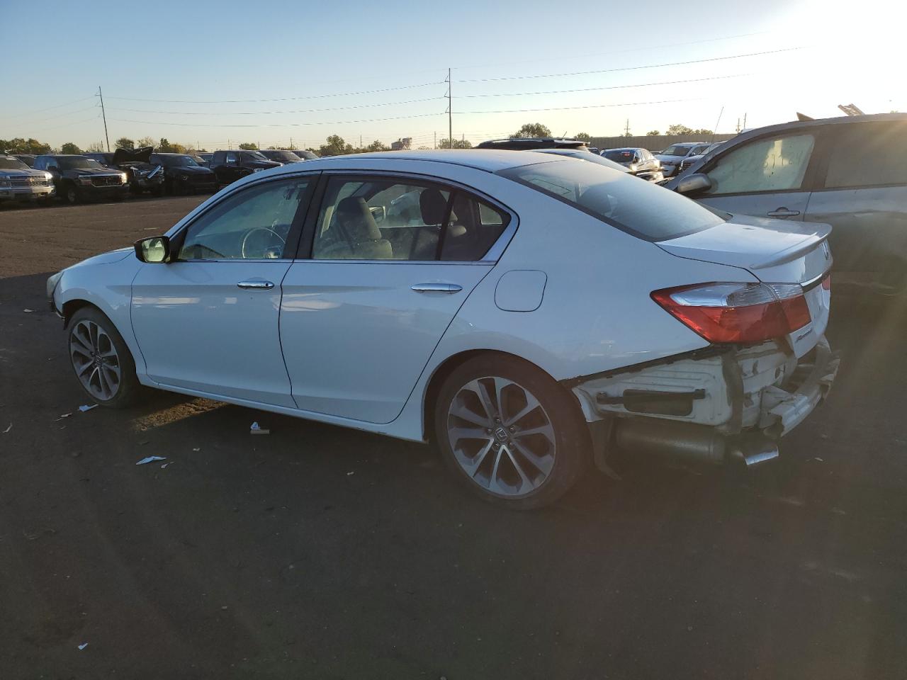 Lot #2872098131 2014 HONDA ACCORD SPO