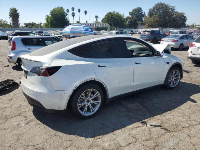 2020 TESLA MODEL Y - 5YJYGDEF1LF019925