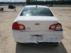 CHEVROLET MALIBU LS photo