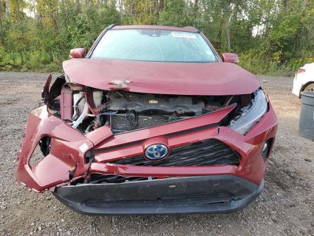 2020 TOYOTA RAV4 XLE - 2T3RWRFVXLW047100