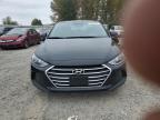 HYUNDAI ELANTRA SE photo