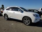 LEXUS RX 350 BAS photo