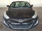 HYUNDAI ELANTRA SE photo