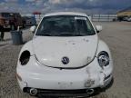 VOLKSWAGEN NEW BEETLE photo