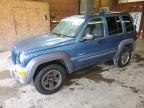 JEEP LIBERTY SP photo