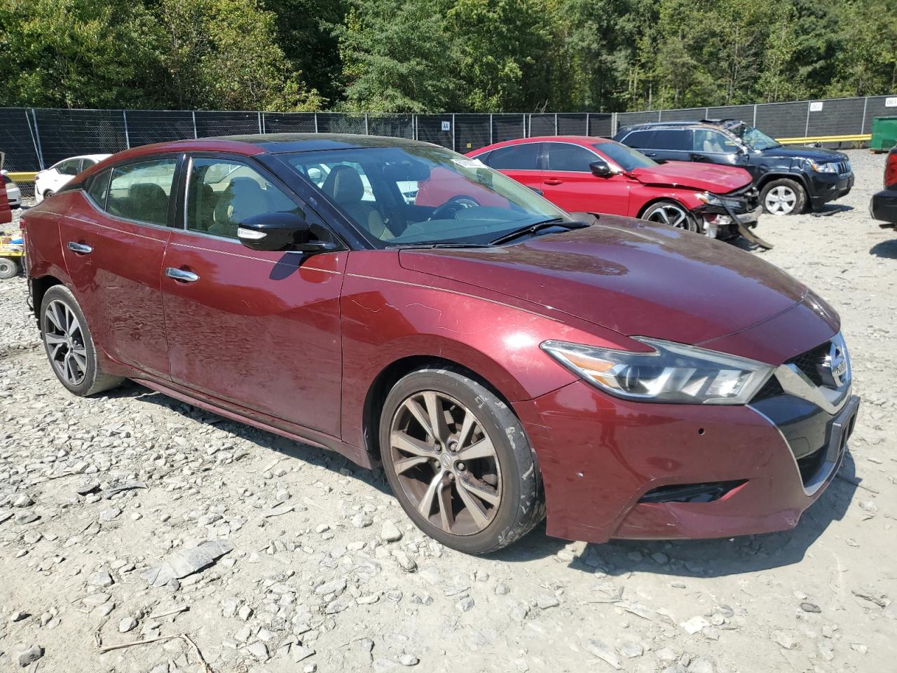 Lot #2974716050 2016 NISSAN MAXIMA 3.5