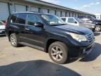 LEXUS GX 460 PRE снимка