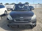 KIA SOUL photo