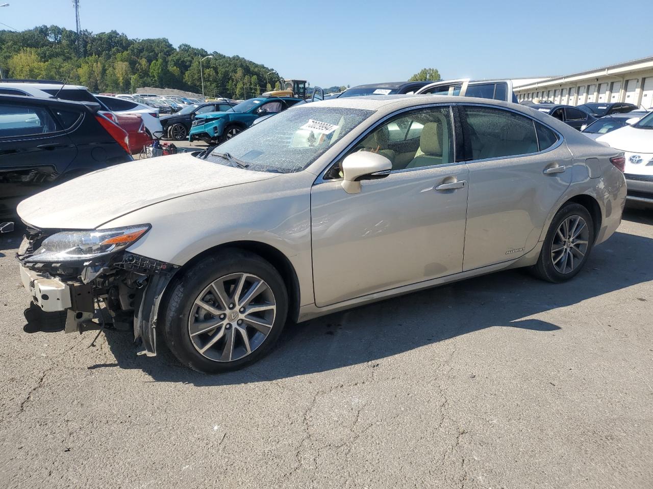 Lexus ES 2016 300h