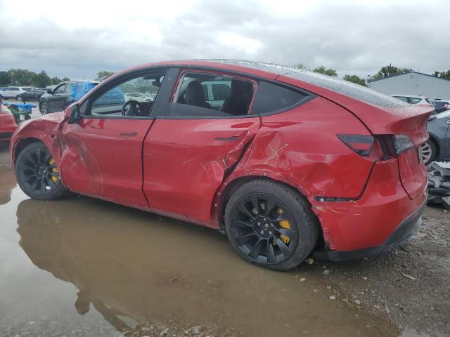 2021 TESLA MODEL Y - 5YJYGDEE8MF193354