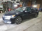 HONDA ACCORD EXL photo