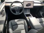 TESLA MODEL Y photo