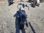 Lot #3022663791 2024 HARLEY-DAVIDSON RH975