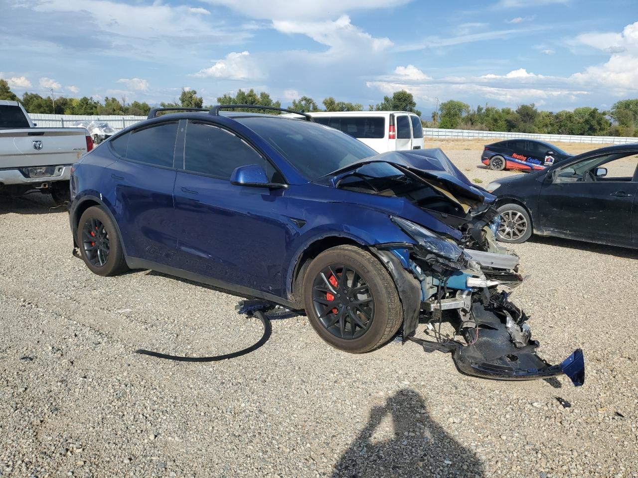 Lot #2969637362 2023 TESLA MODEL Y