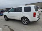 HONDA PILOT EXL photo