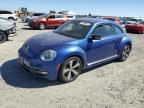 VOLKSWAGEN BEETLE TUR photo