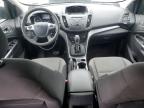 FORD ESCAPE SE photo