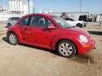 VOLKSWAGEN NEW BEETLE photo