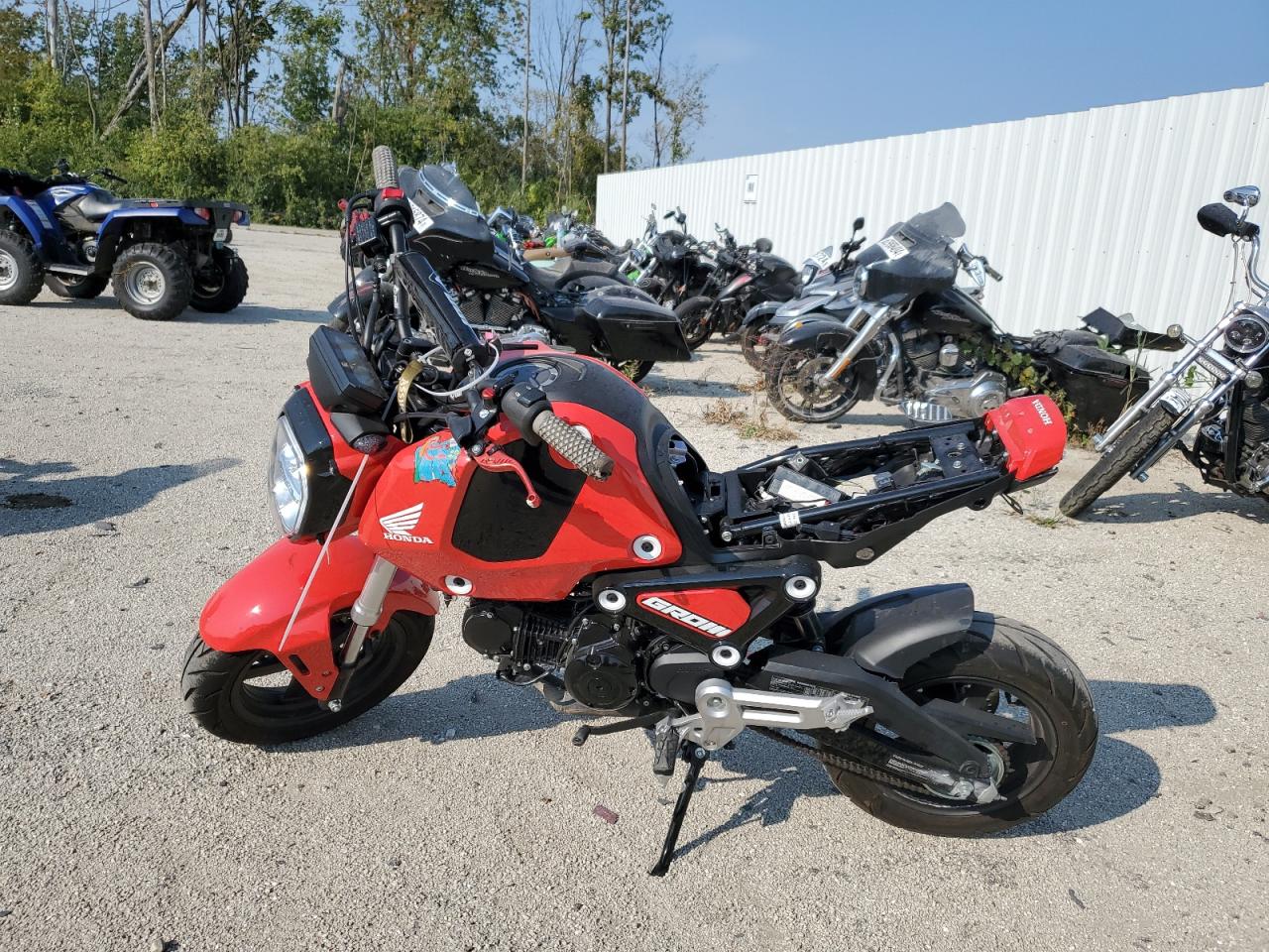 Lot #2986848945 2023 HONDA GROM 125