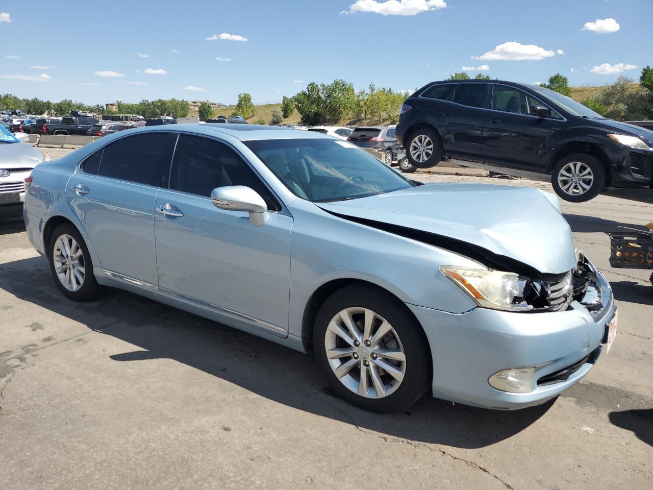 Lot #3034408065 2010 LEXUS ES 350