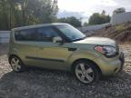 KIA SOUL photo