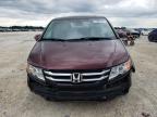 HONDA ODYSSEY EX photo