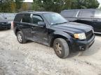 FORD ESCAPE XLT photo