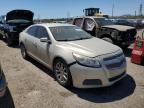 CHEVROLET MALIBU 2LT photo