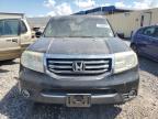 HONDA PILOT EXL photo