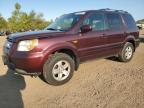 HONDA PILOT VP photo