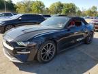 2019 FORD MUSTANG - 1FATP8UHXK5149549