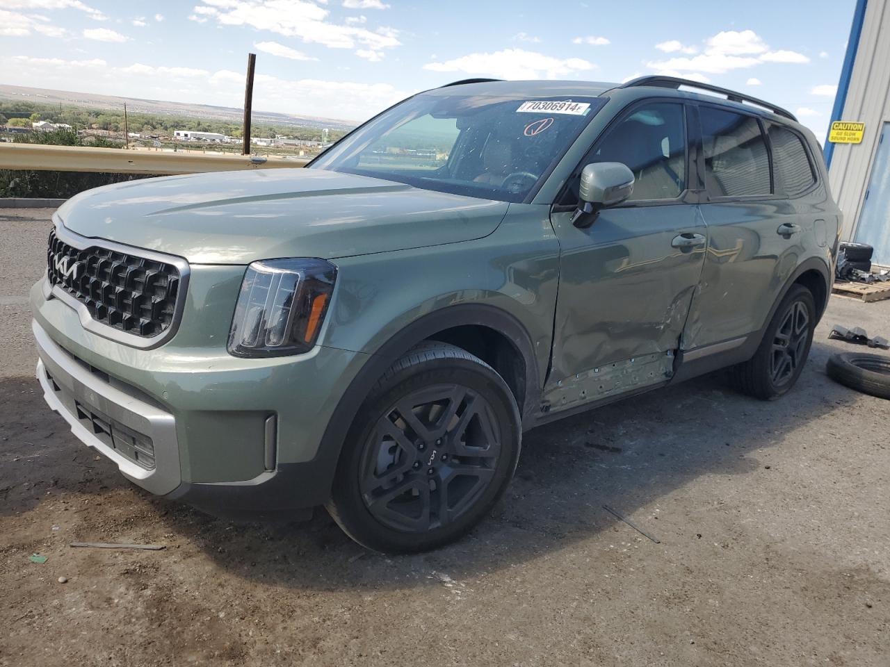 Lot #2955076822 2023 KIA TELLURIDE