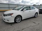 LEXUS HS 250H photo