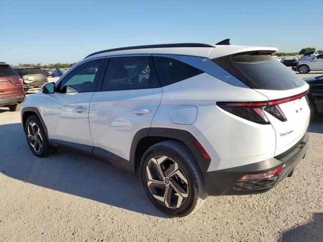 2023 HYUNDAI TUCSON LIM - 5NMJECAE2PH212166