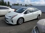 Lot #3052271618 2016 TOYOTA PRIUS