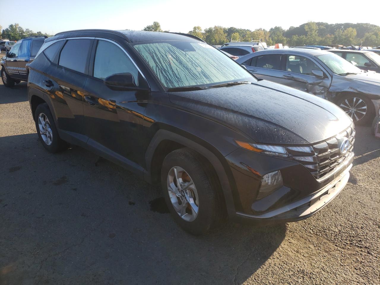 Lot #2996337356 2024 HYUNDAI TUCSON SEL