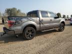 FORD F150 SUPER photo