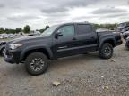 2020 TOYOTA TACOMA DOU - 3TMCZ5AN2LM324885