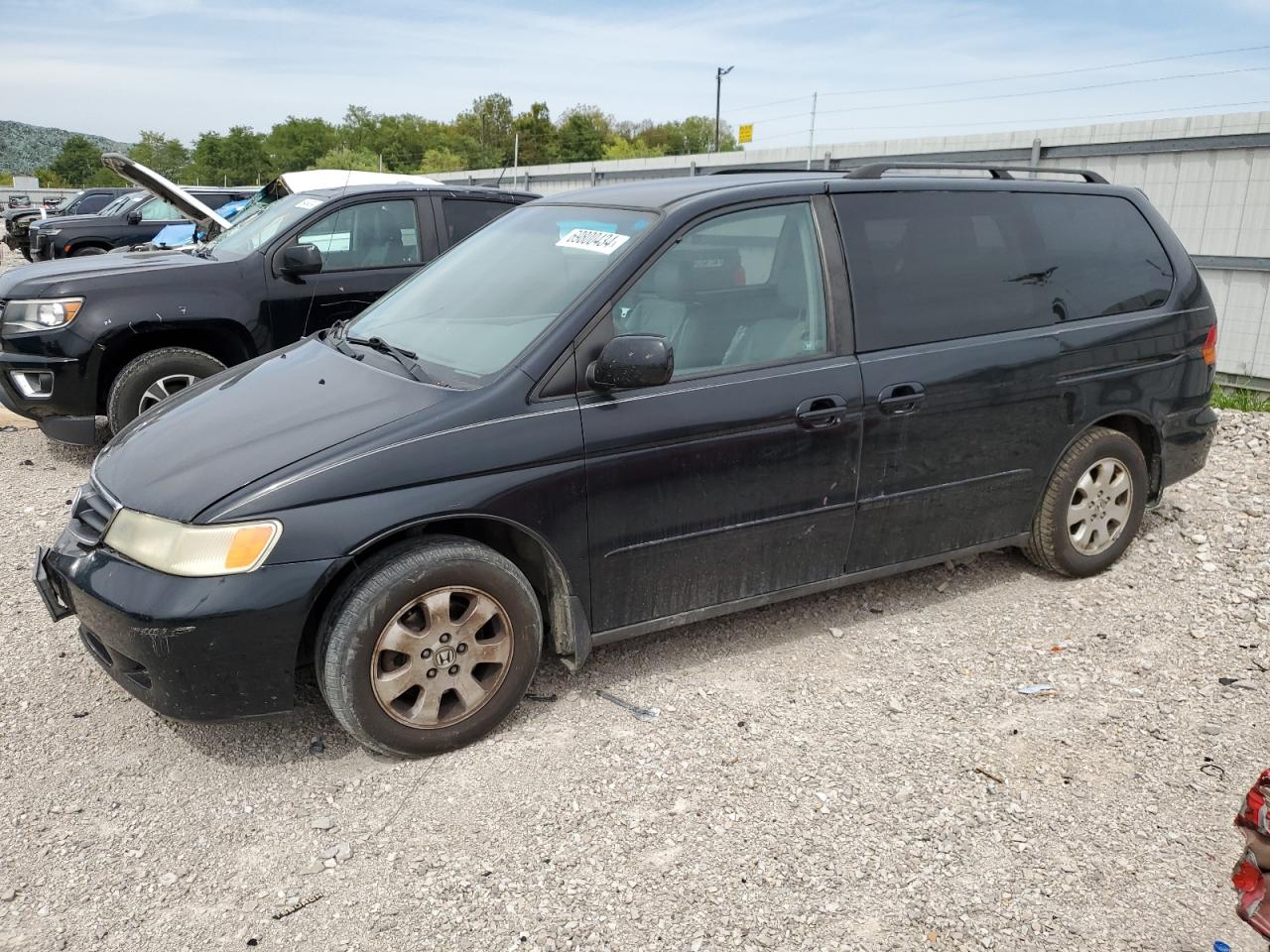 Lot #2843567847 2003 HONDA ODYSSEY EX