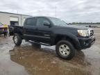 TOYOTA TACOMA DOU photo