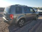 HONDA PILOT EXL photo