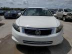 HONDA ACCORD LX photo