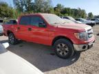 FORD F150 SUPER photo